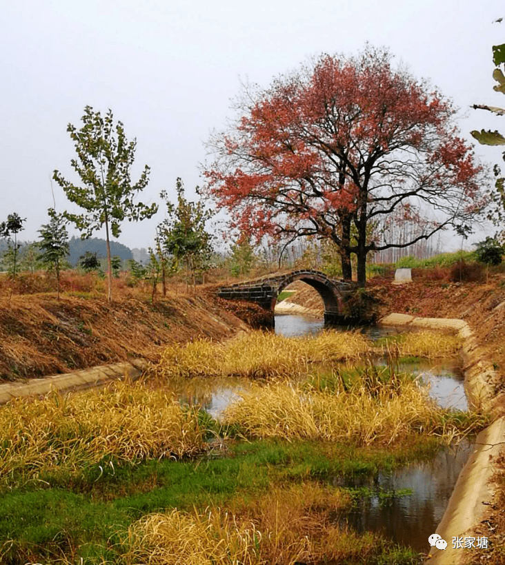 湾村历史大全十八秀村