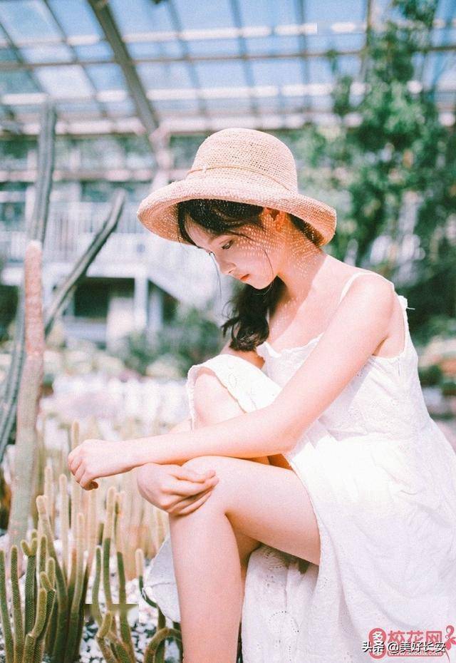 《辩护人》,《怪兽电力公司》,《枪火》最喜欢的书:《摩尔人的最