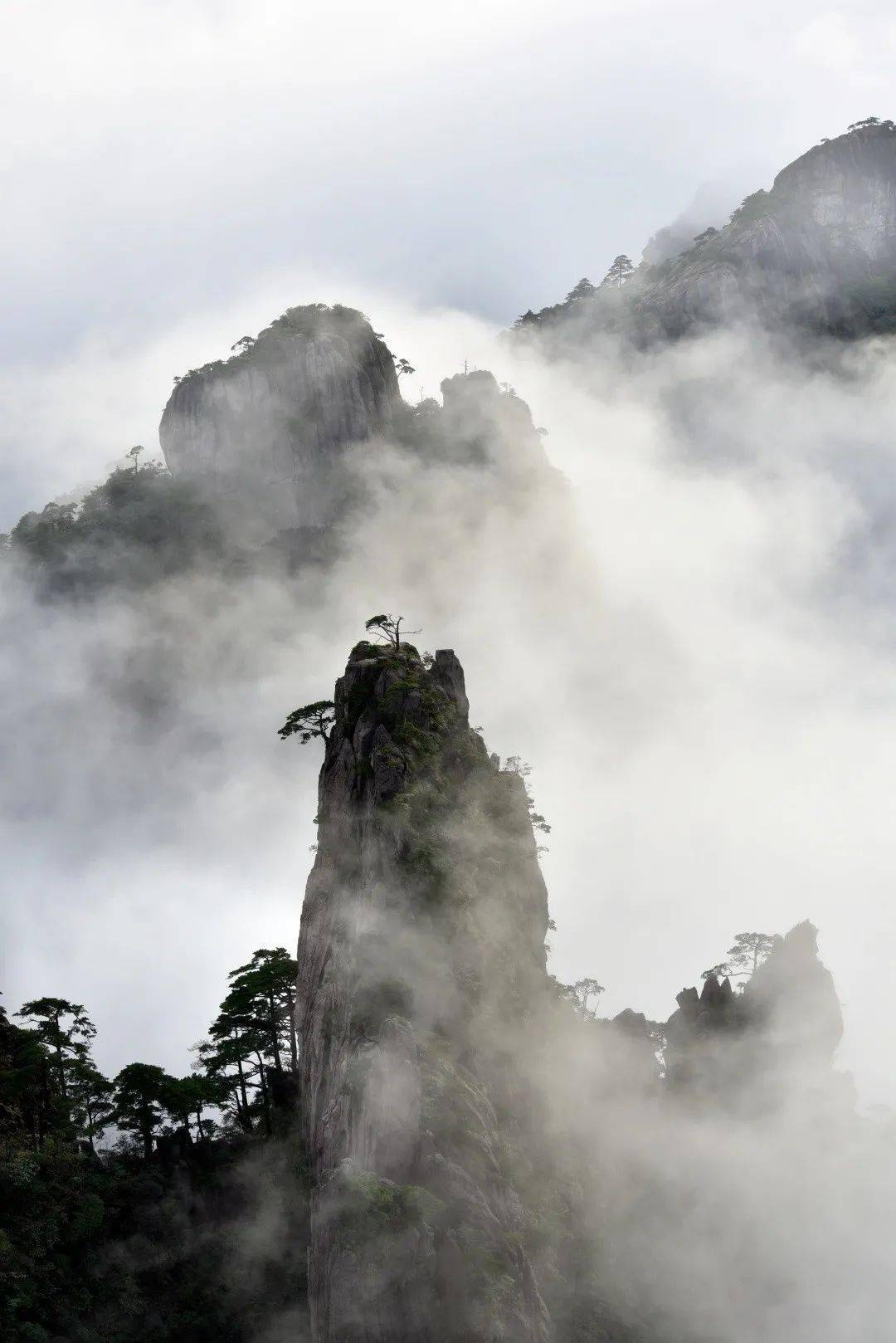 秋雨初歇 黃山雲海驚豔亮相_低雲