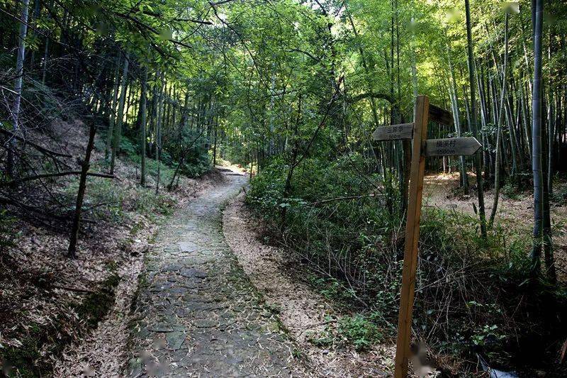 桃花岭古道13位于镇海,江北,慈溪三地交界,历史上是三地农工商探亲