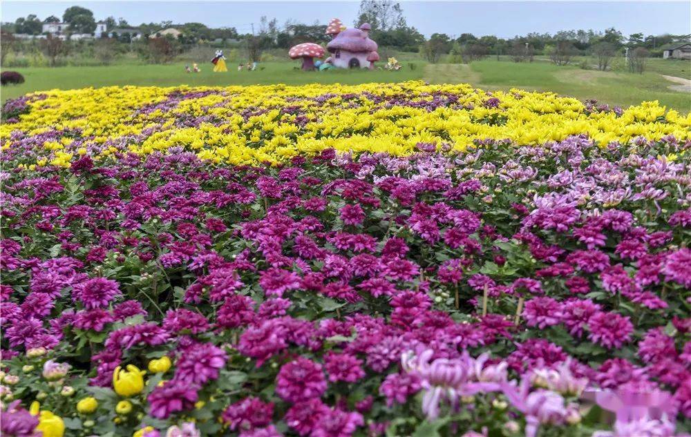 合肥又一網紅打卡地半島花溪樂園亮相巢湖岸邊 9月25日盛大開業_季夜