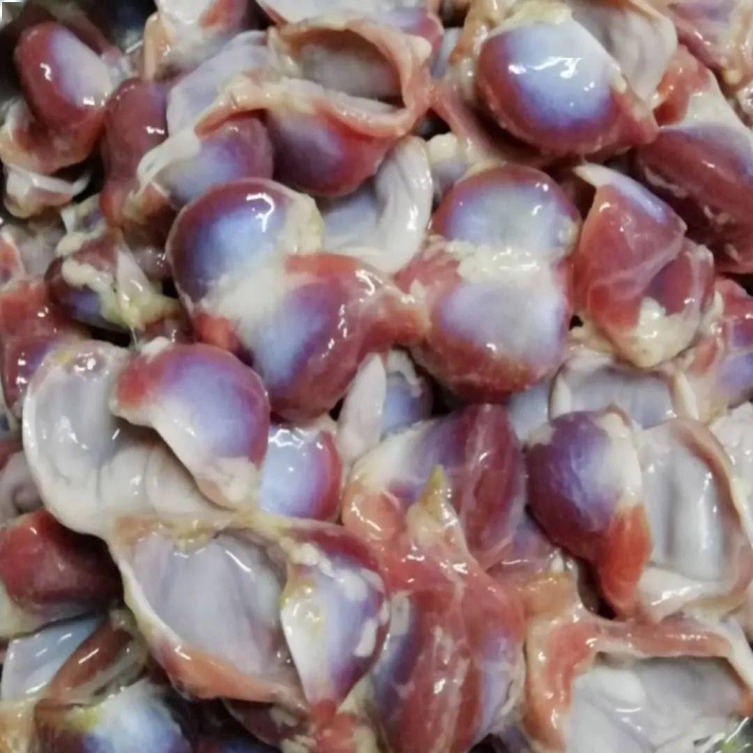 买以下任意产品送一斤新鲜鸽子肾(真空包装)(一单送一斤)