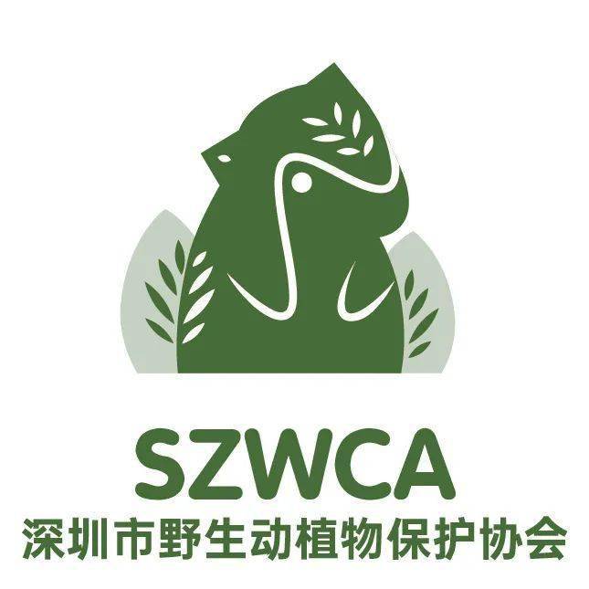 本着聚焦深圳市本土野生动植物的原则 进行设计创作 深圳野生动物园