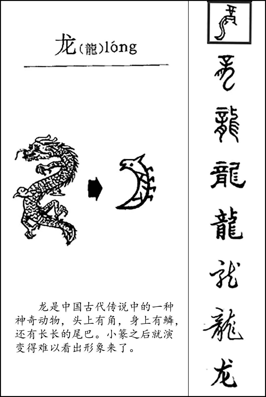 字写法的演变汉代的禇少孙认为龙的原型是蛇,他说:蛇化为龙,不变其文