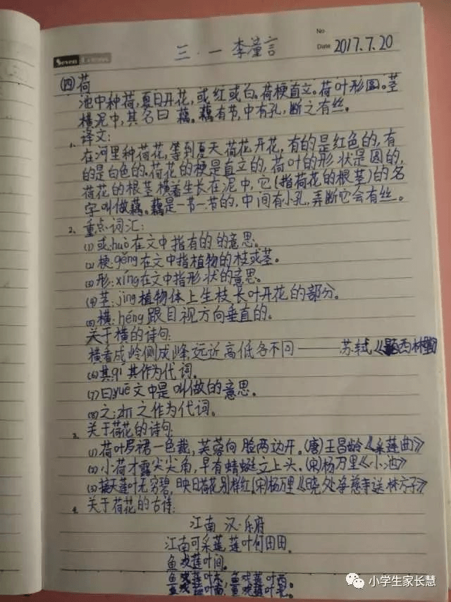 【小学生必读小古文100篇】第五篇:《菊》