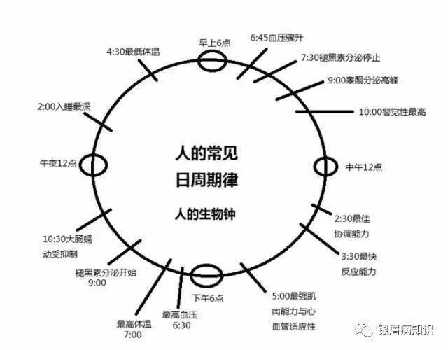 生物钟与银屑病的关系