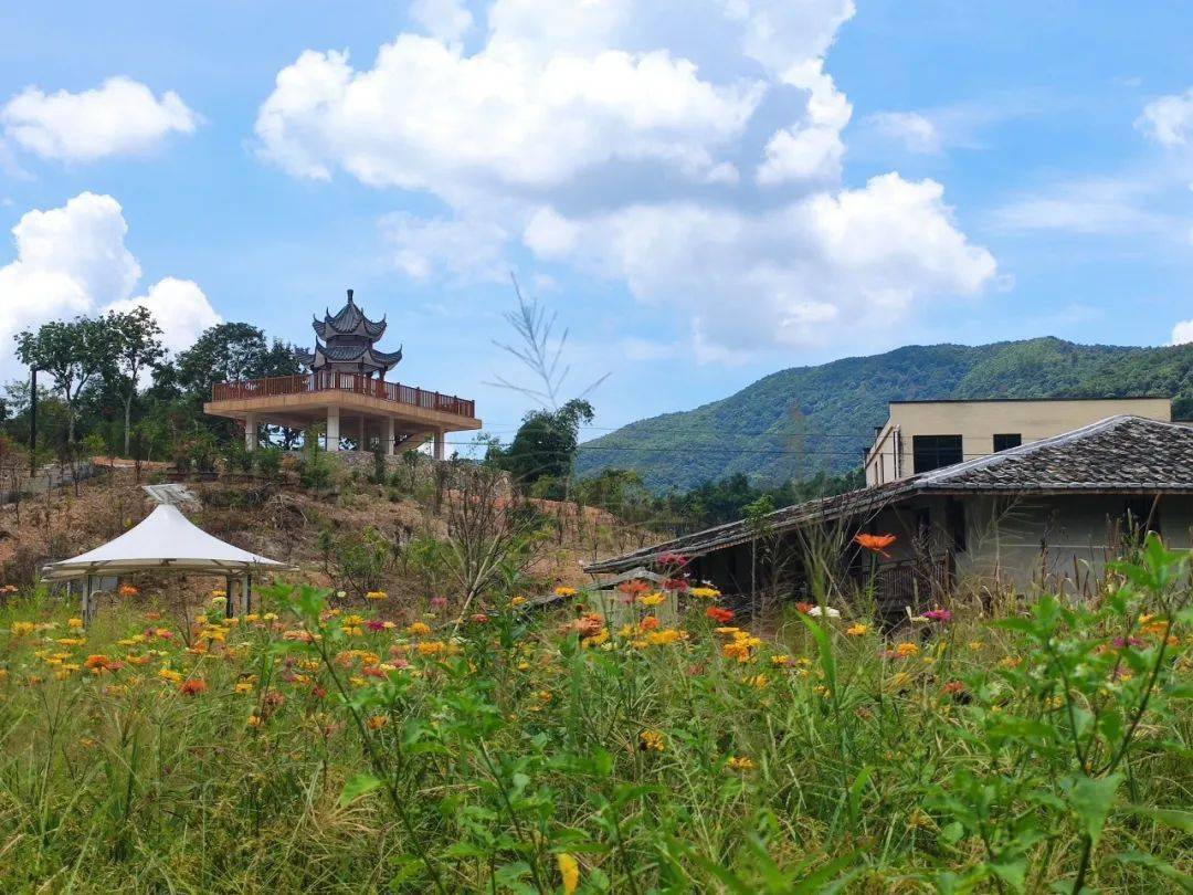 村落林柄四面环山,溪流穿行"林柄"二字跃然映入眼帘从白沙镇政府向