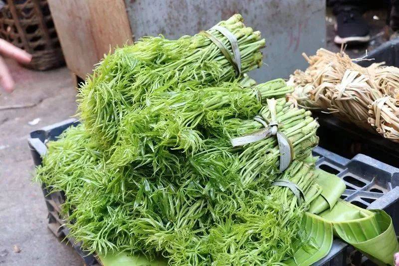 常常焯烫之后凉拌,还有一种吃法是刷把菜蒸肉米.