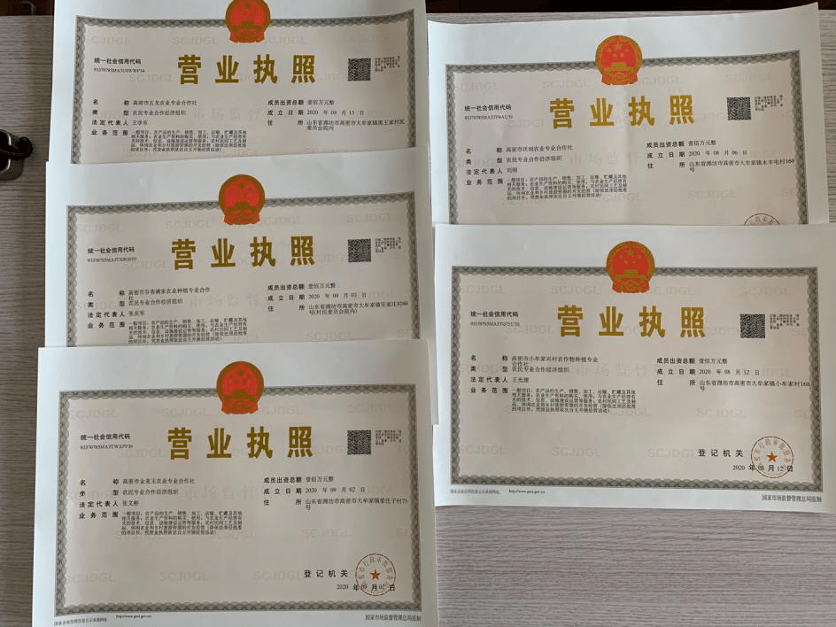 富人民的目标,大牟家镇不等不靠,抢抓机遇,率先试点党支部领办合作社