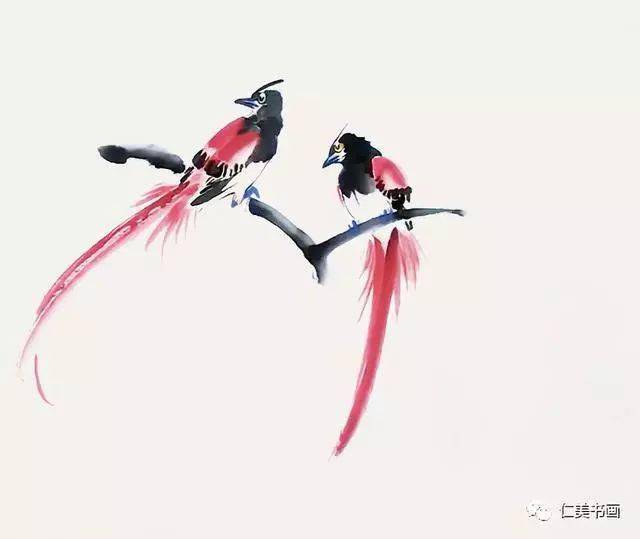 绘画步骤详解|绶带鸟能与传说中的凤凰相媲美的鸟