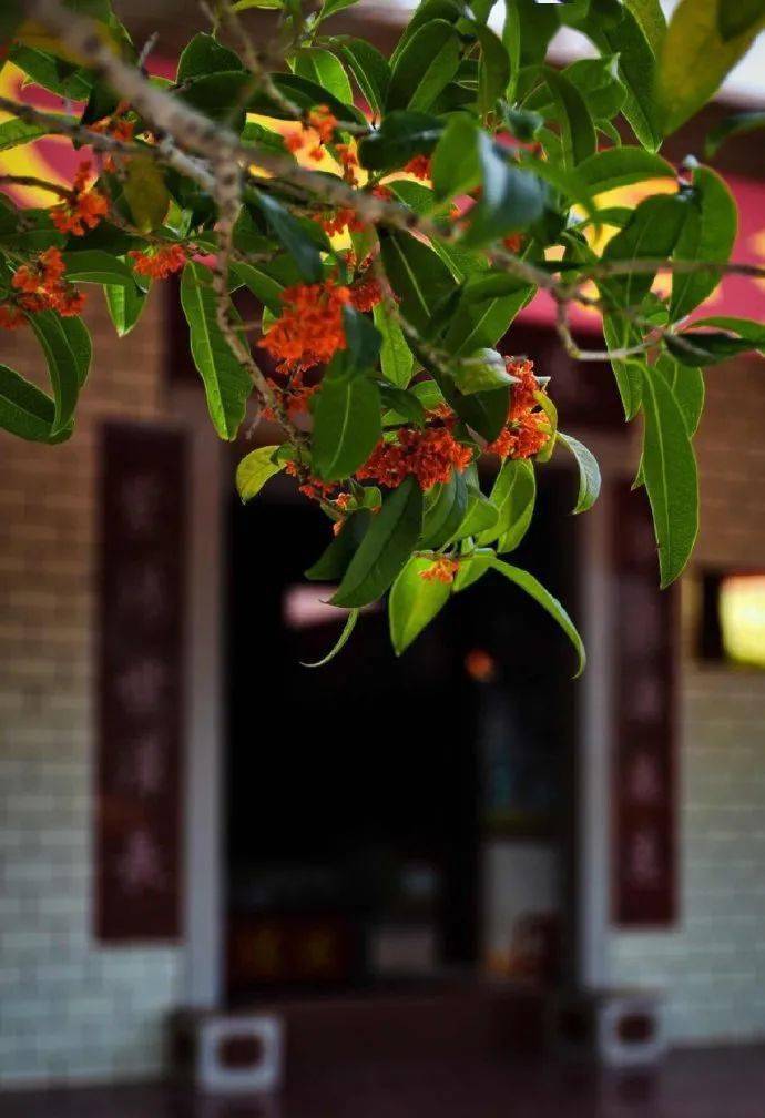 人生有三宝;丑妻,薄地,破棉袄!