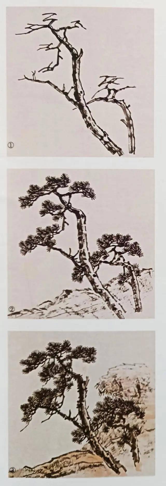 两棵松树的画法图片