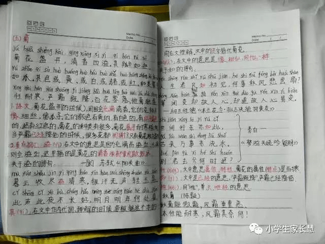 小学生必读小古文100篇第六篇雨