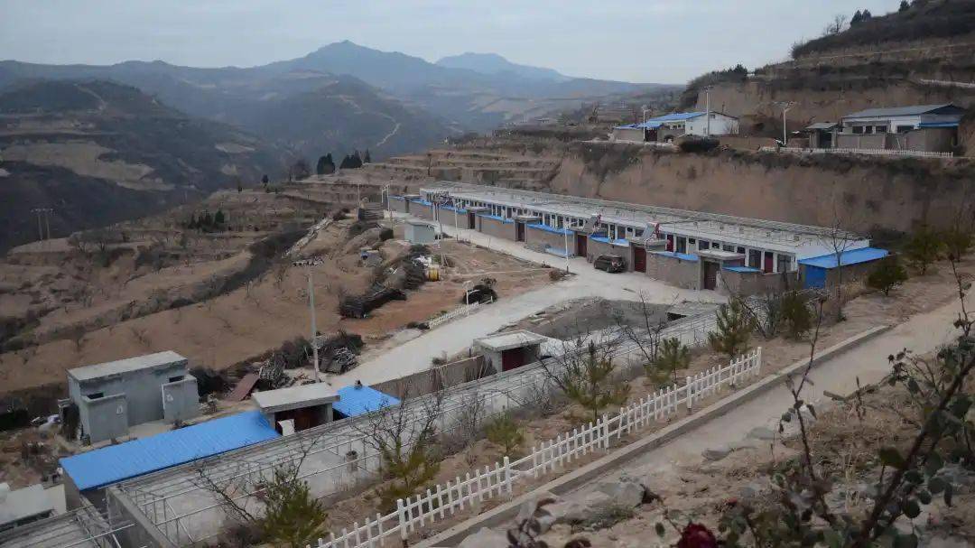 联县包扶陕西宜川播洒真情结硕果