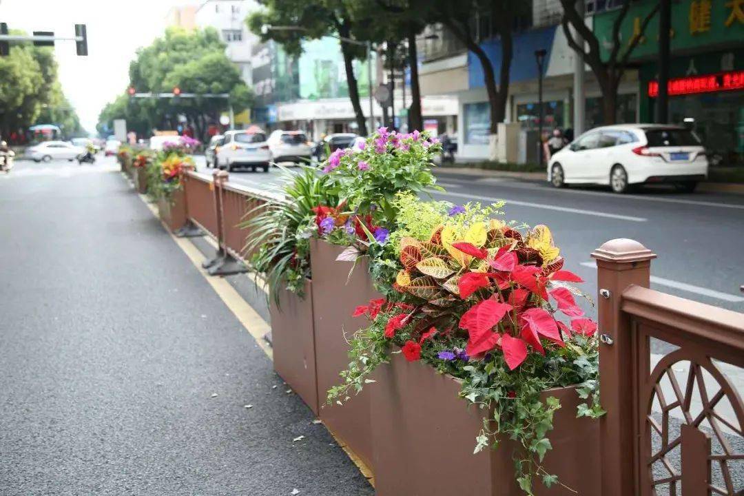 为宜兴化国庆妆400余组花箱亮相城区街头