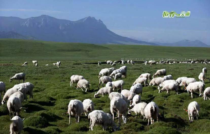 军旅有声李增瑞大河颂