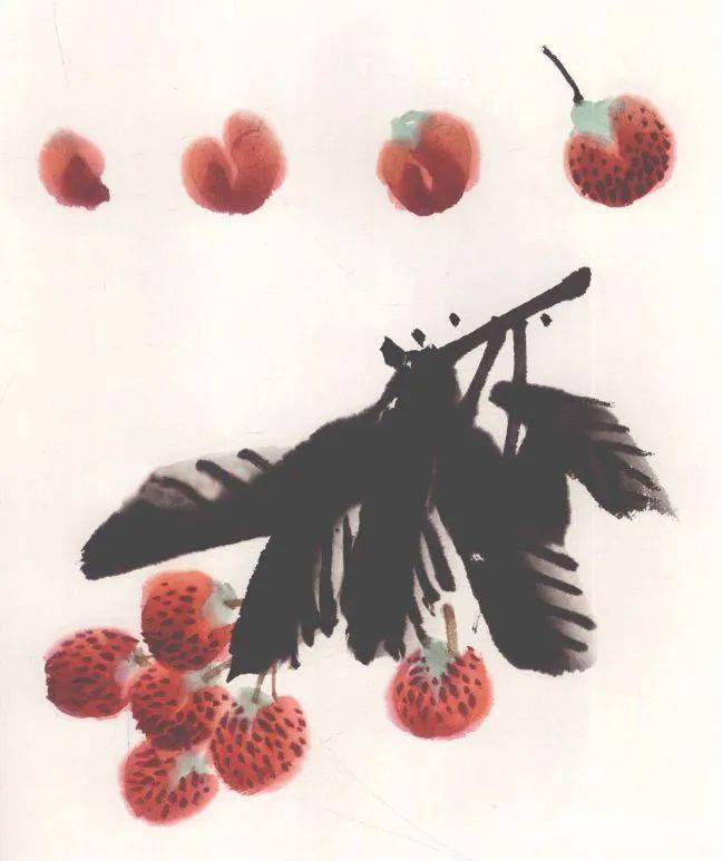 国画教程彩墨荔枝画法步骤