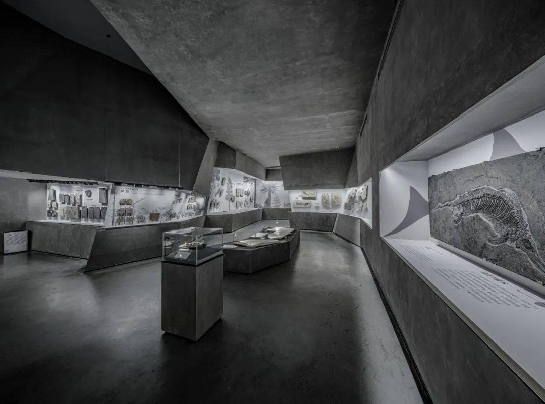重生的晶体 74 英良石材自然历史博物馆丨时境建筑