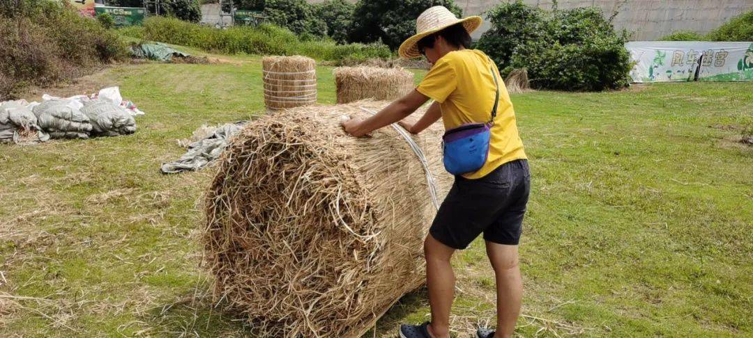 记得哦~将草垛直线滚到终点圆圆的草垛滚呀滚童趣滚草垛(296106