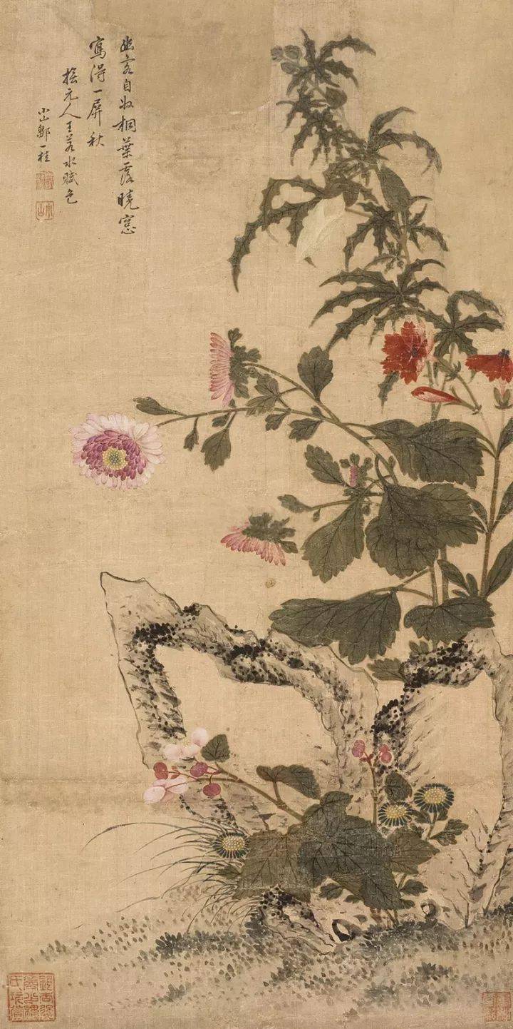 清代这位画家为画花卉,亲自培植了百余种花卉_邹一桂