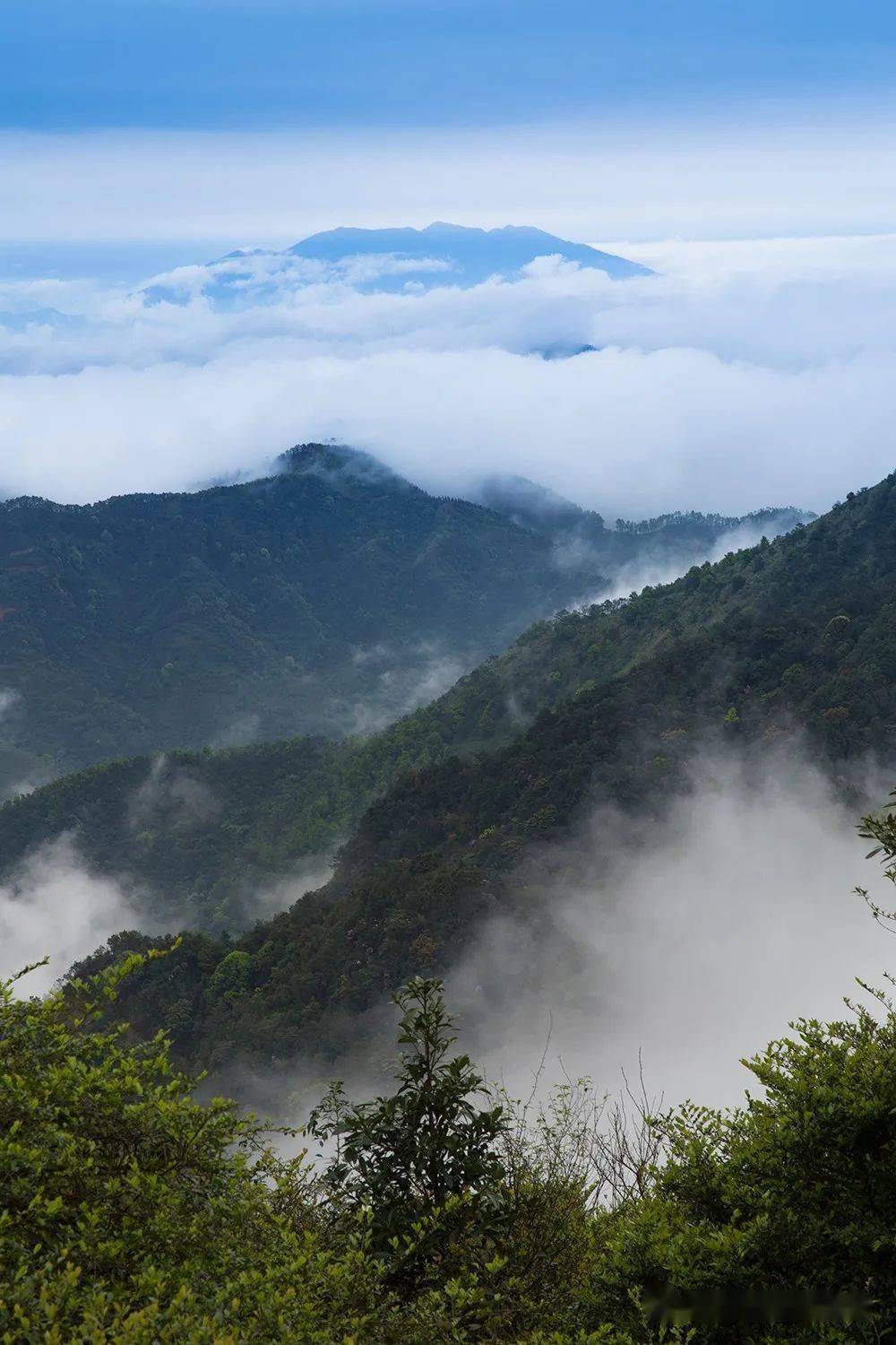 十一国庆黄金周到大金山游玩体验登高望远