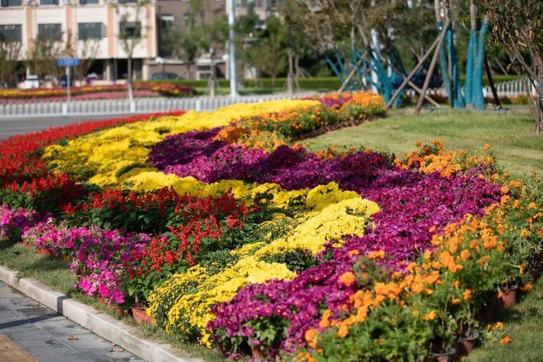 各類花卉造型烘托出節日的氣氛 花團錦簇,綠意盎然 圍繞城區街道及