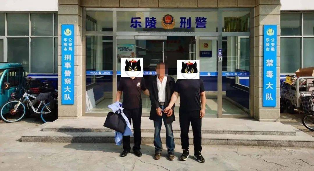 乐陵警方2小时速破绵羊盗窃案带破另一盗窃案