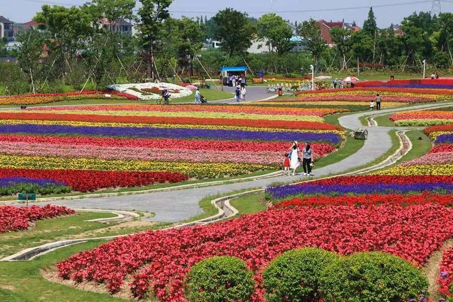 贵港千亩花海公园要来了!年底就能打卡啦!