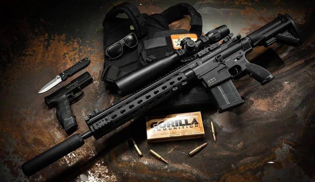 琴瑟和鸣oss消音器美图欣赏