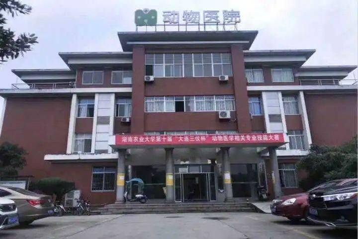 湖南农业大学动物医学院前身湖南农学院兽医专业创办于1951年.