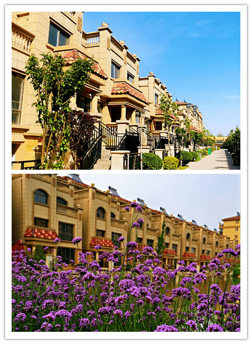 大禹湖头排房即买即住