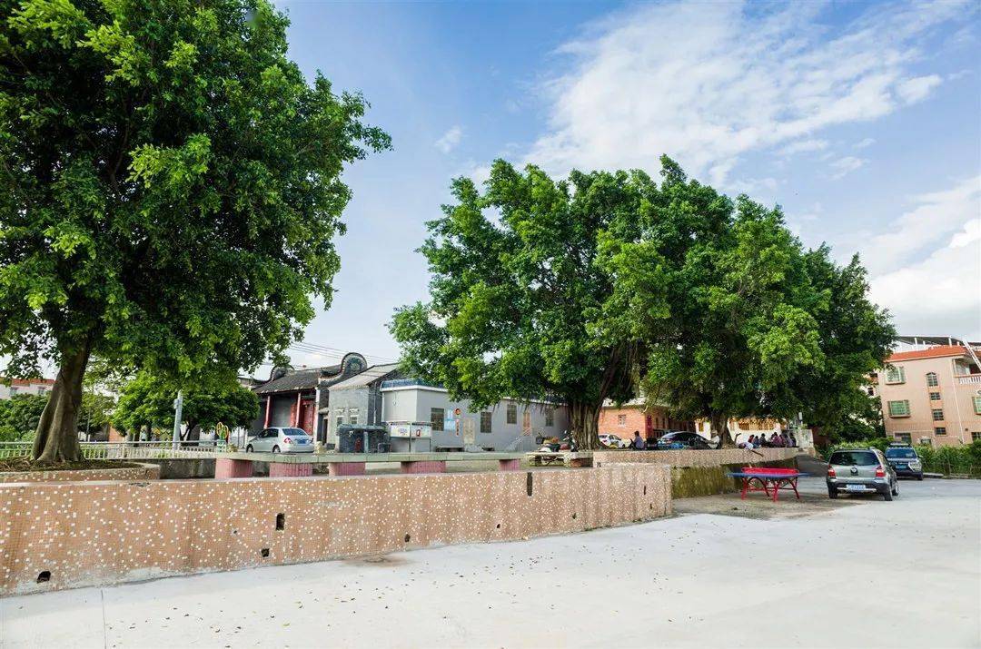 来云东海赴一场美丽乡村游_福田村