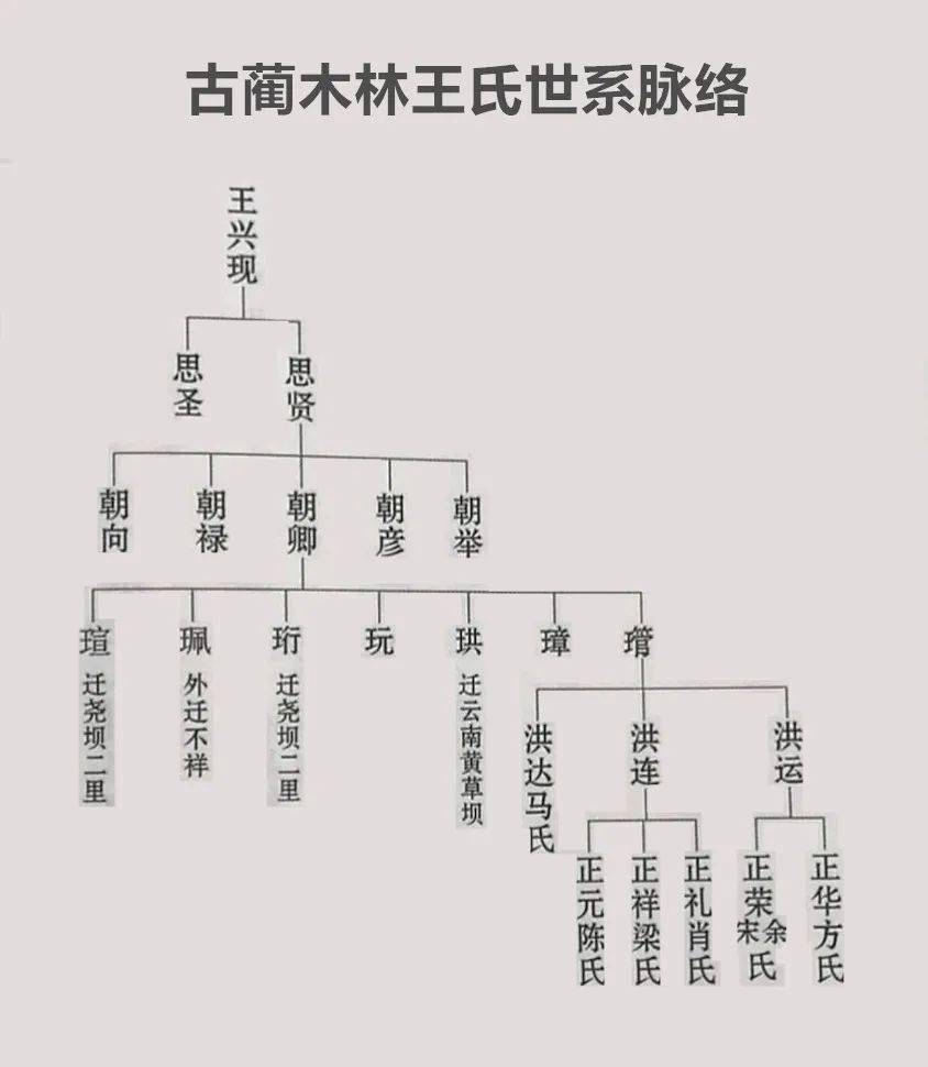 四川省古蔺县镇龙山木林王氏家族简介