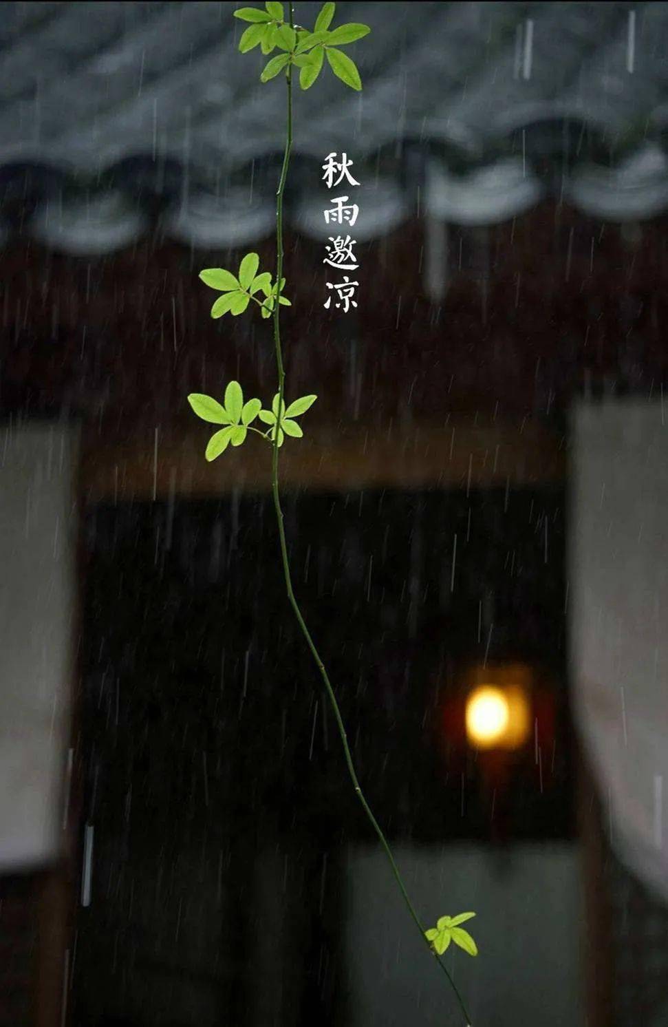 方志四川61诗词潘永红秋雨之思外一首