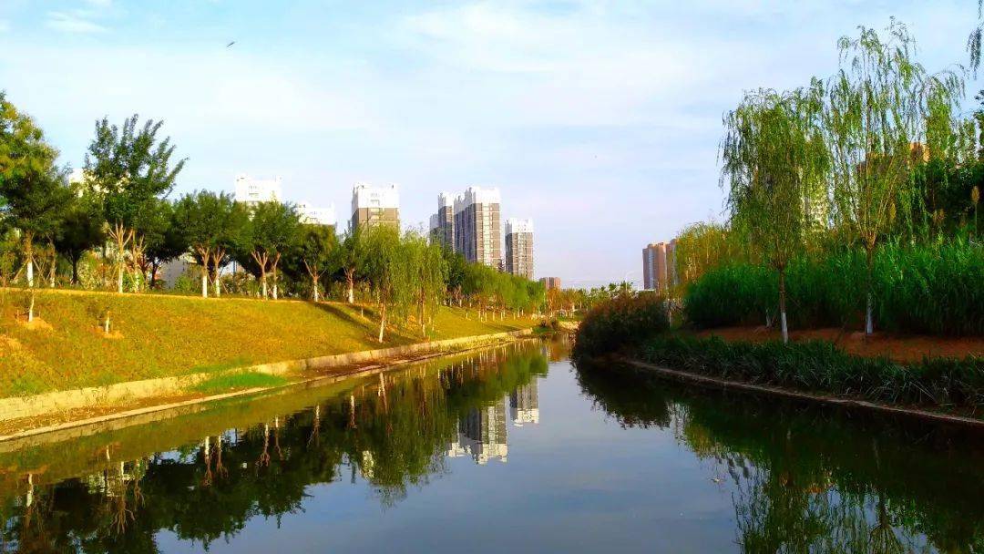 菏泽环堤公园之湿地公园实拍