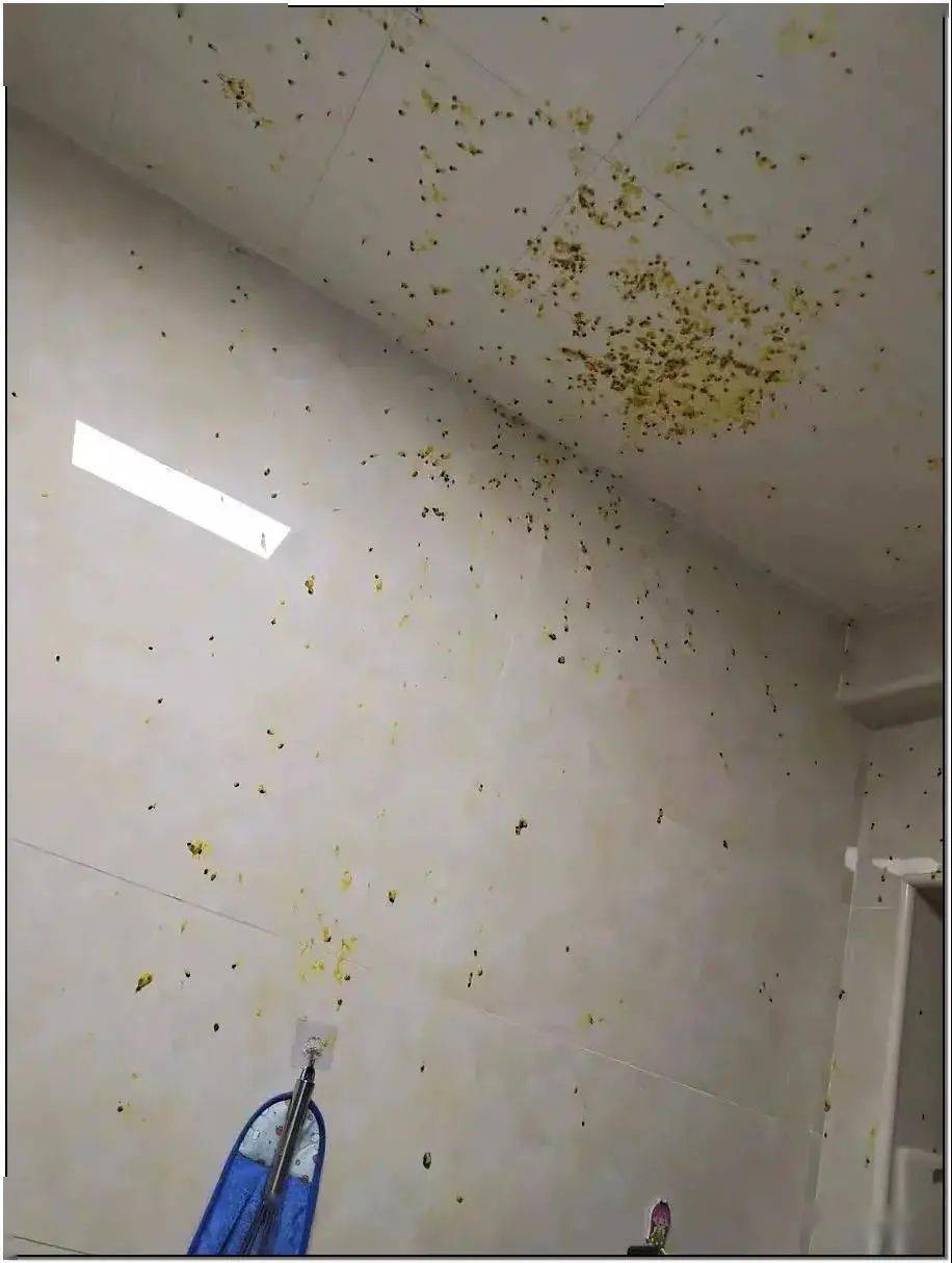 极易爆炸也会发酵产生大量气体还有一样东西和红枣一样网友都懵了