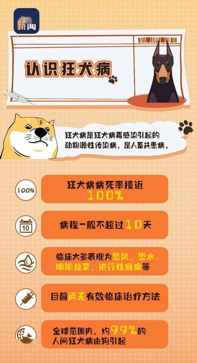 科普視窗|關於狂犬病的這些真相,你或許還未了解