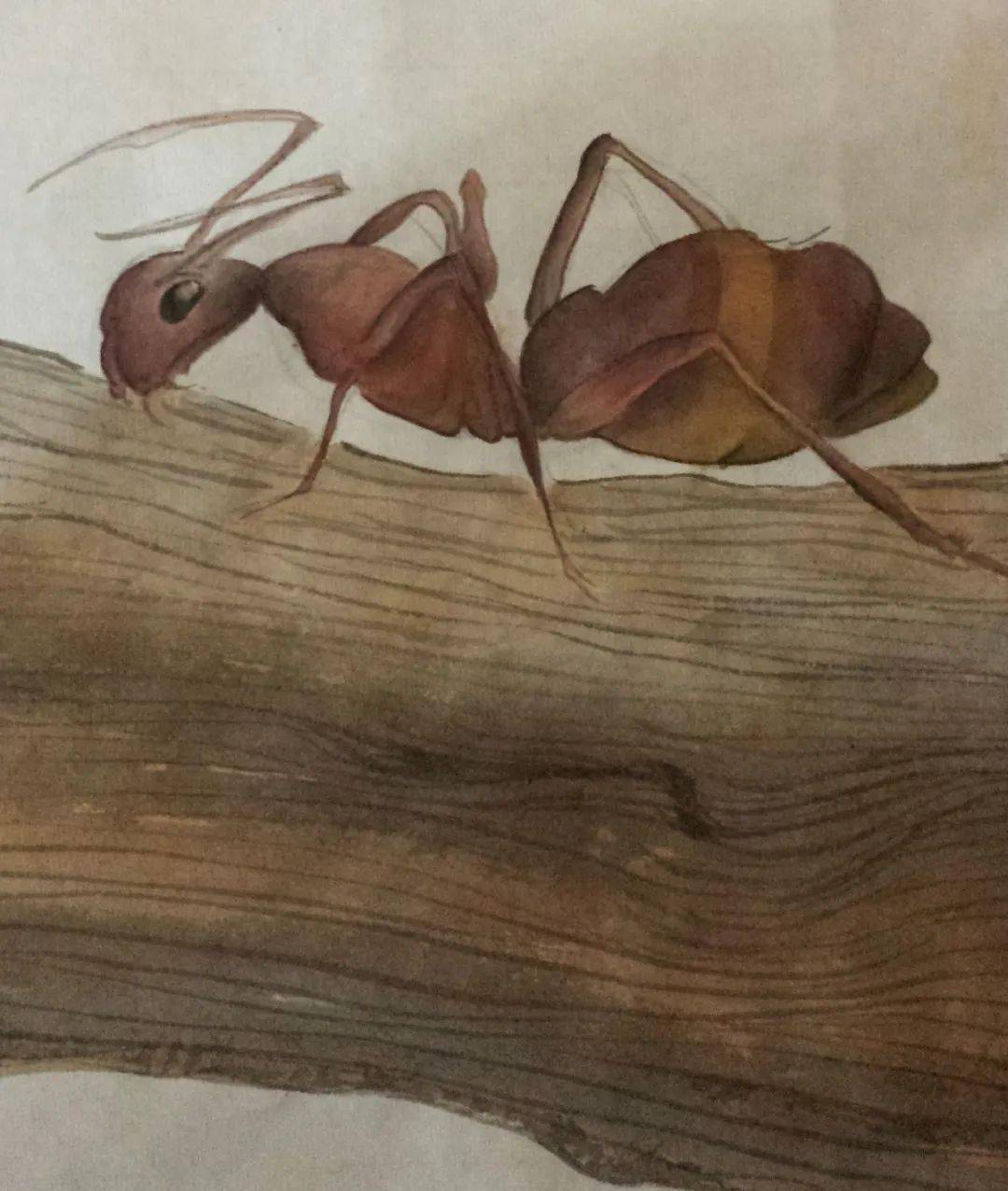 侯杰61新征程新跨越2020金尚vip会员作品联展