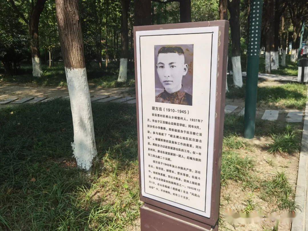 要不要来这里一日游?