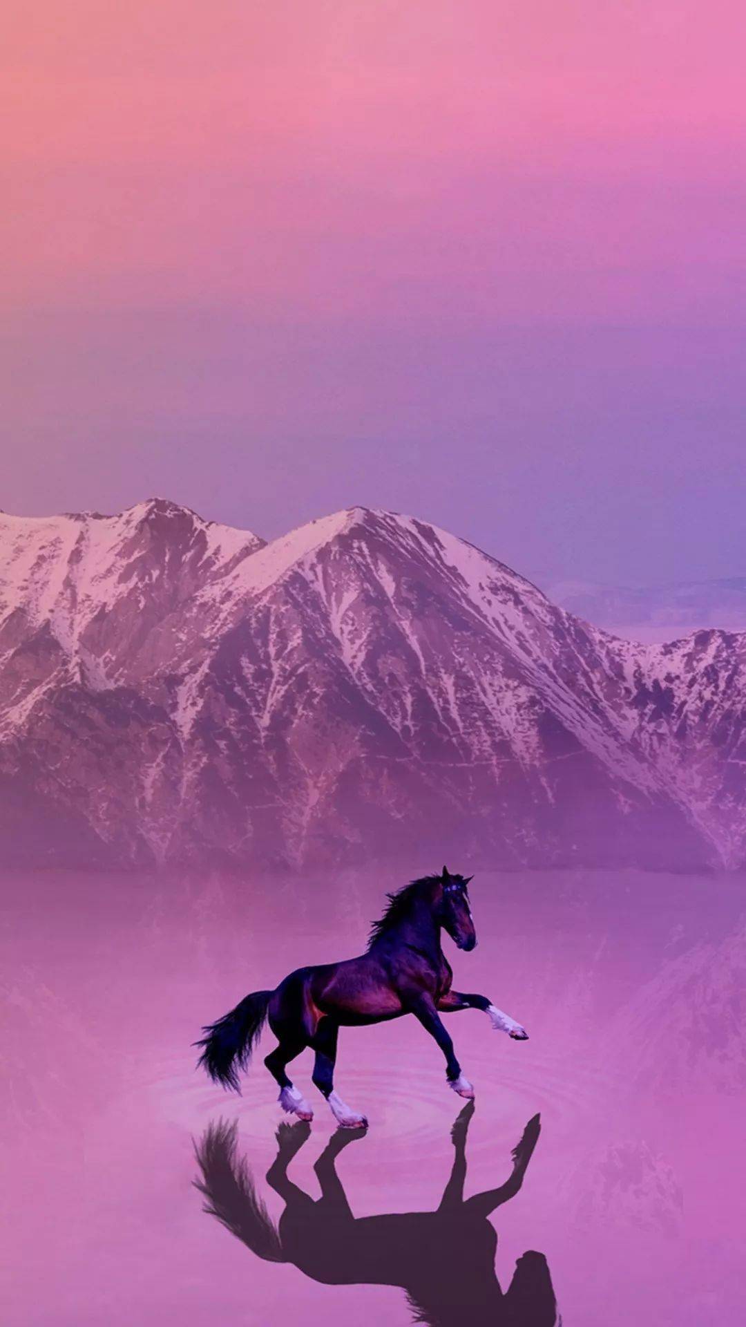 全面屏 常规屏 壁纸 | 与众不同