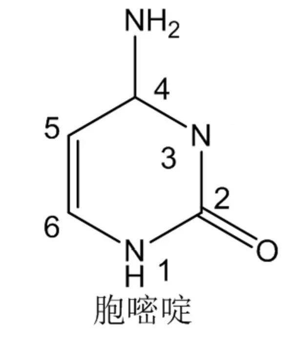 环丙沙星属于喹诺酮类合成抗菌药物,该类药物母核结构为喹啉酮环,故