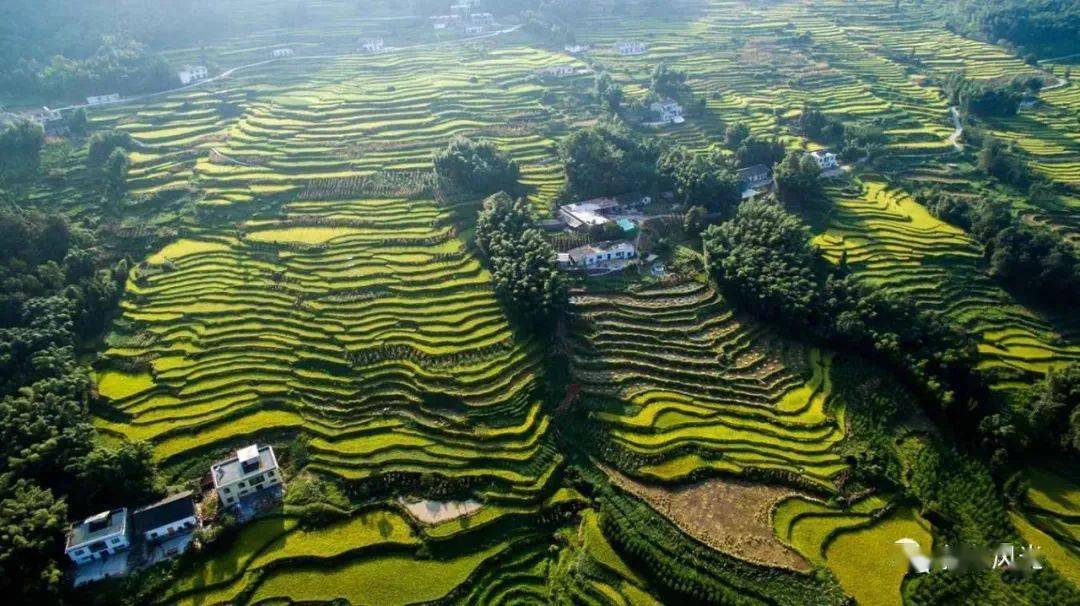 四川省叙永县红岩坝千蚯榜王氏家族简介_碑记