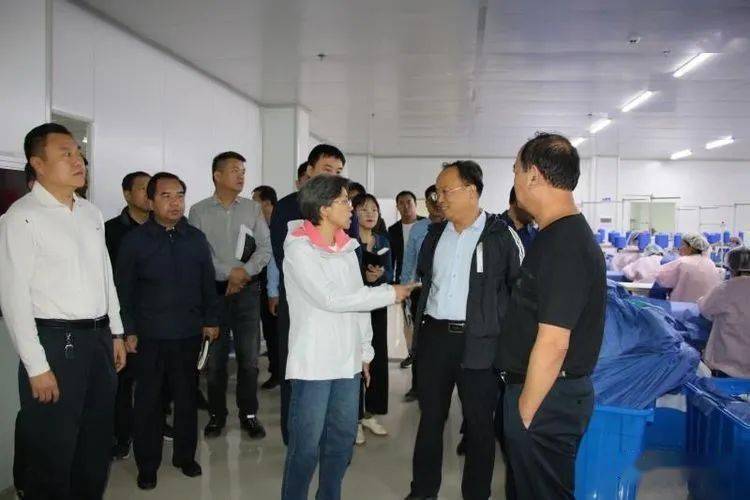 党政领导抓环保邯郸馆陶县委书记陈新深入化工园区调研大气治理环保