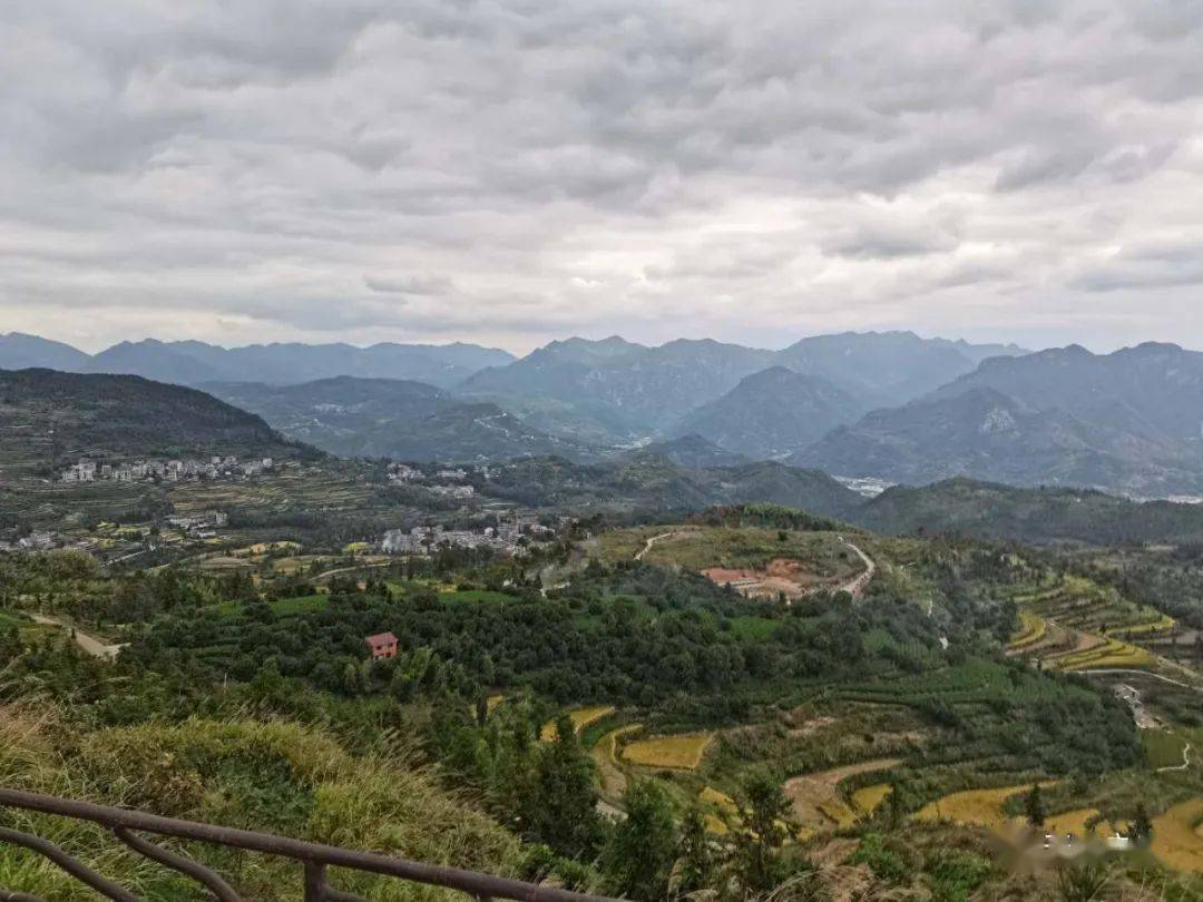 饫餍鹤啸隔空的一声归鸣,卧川方田洋溢的一片金黄.