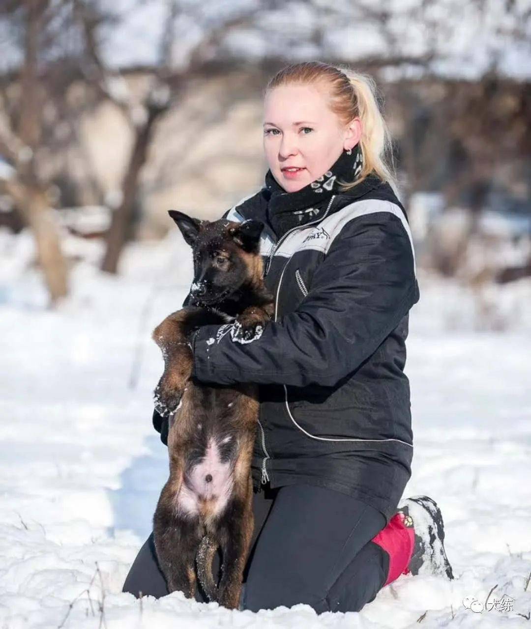 一波马犬美图缺头像的可以收藏一张