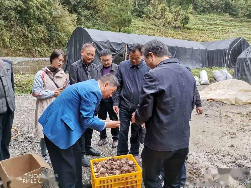 曹静轩一行先后来到石状沟村,石坝社区,毛坝村,实地查看了村集体经济