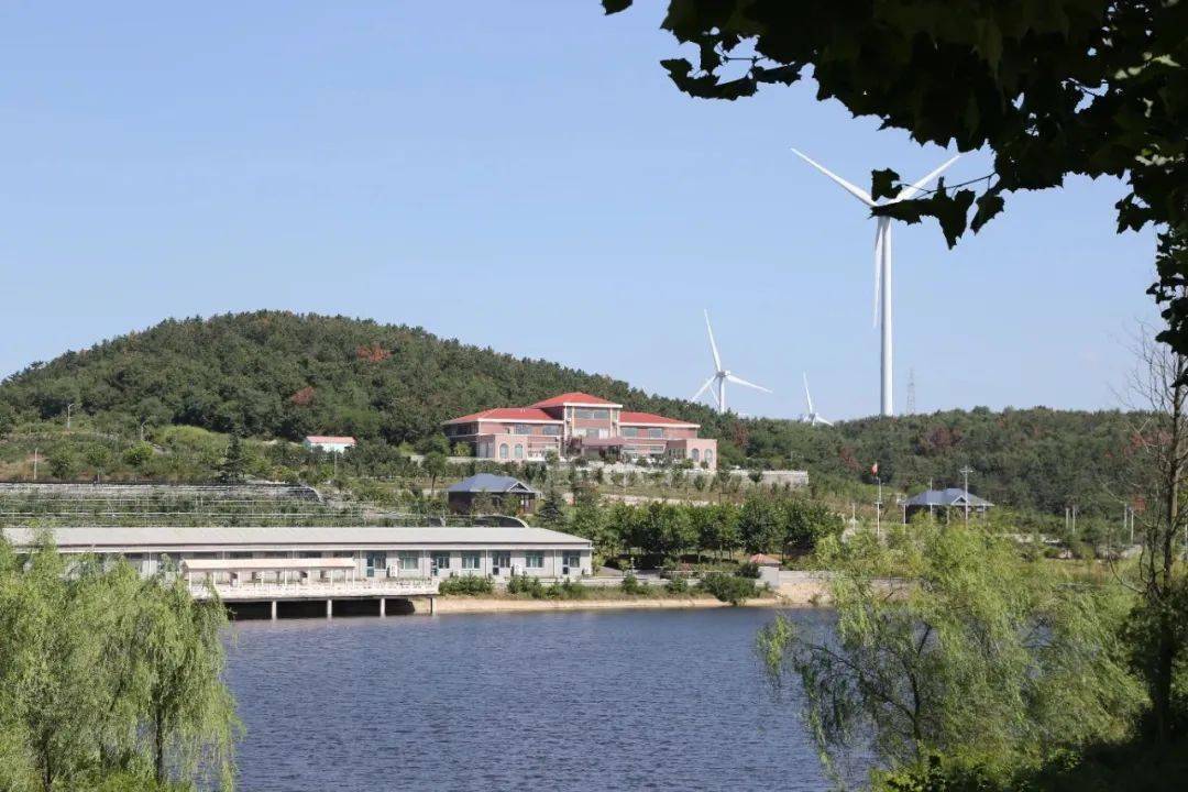 文登市高端网站建设_(文登市高端网站建设公司)