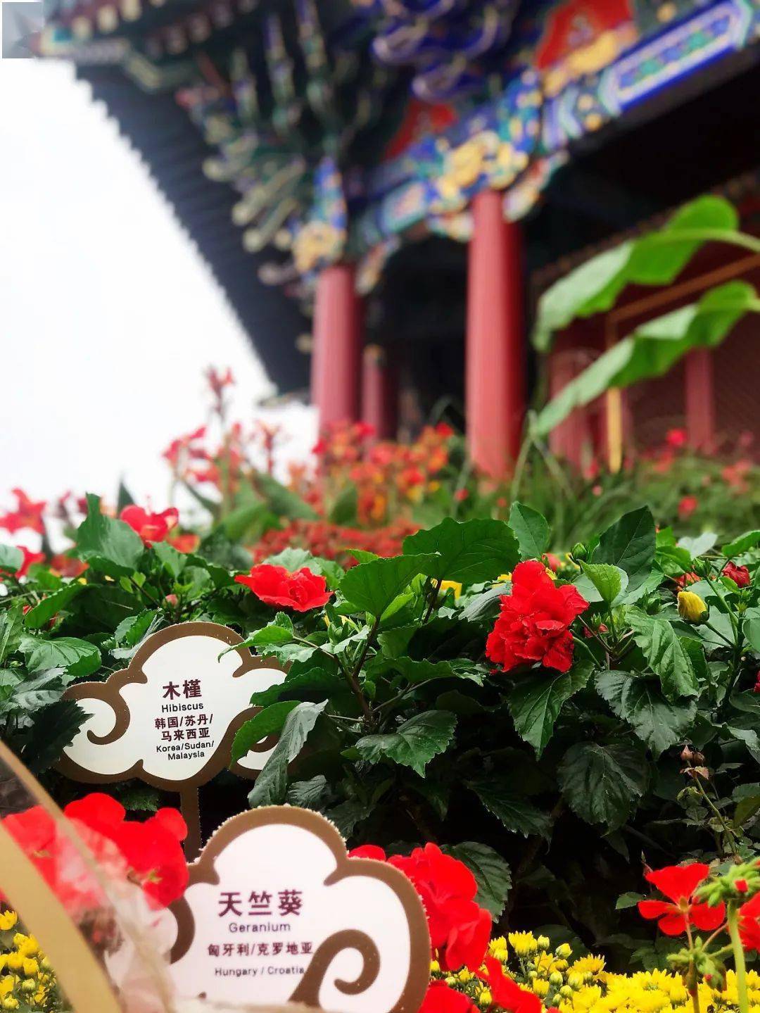 多姿多彩 乐享双节