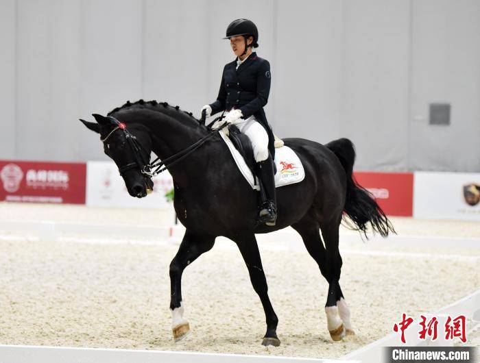中国马术盛装舞步冠军杯赛河北安平落幕广东队成最大赢家