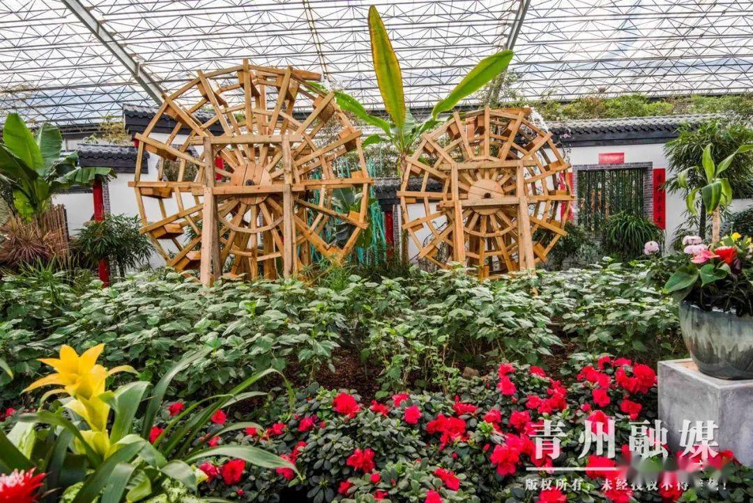 花好月圆景区位于中国青州花卉苗木交易中心,除花博会展馆以外,还有